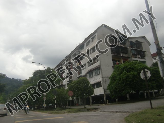 project-image