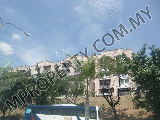 project-image