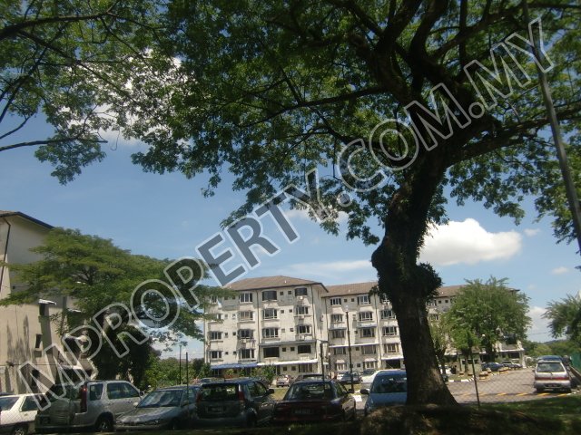 project-image