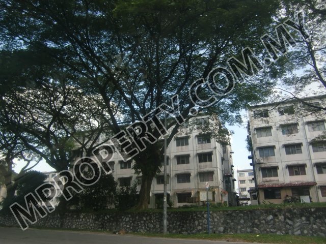 project-image